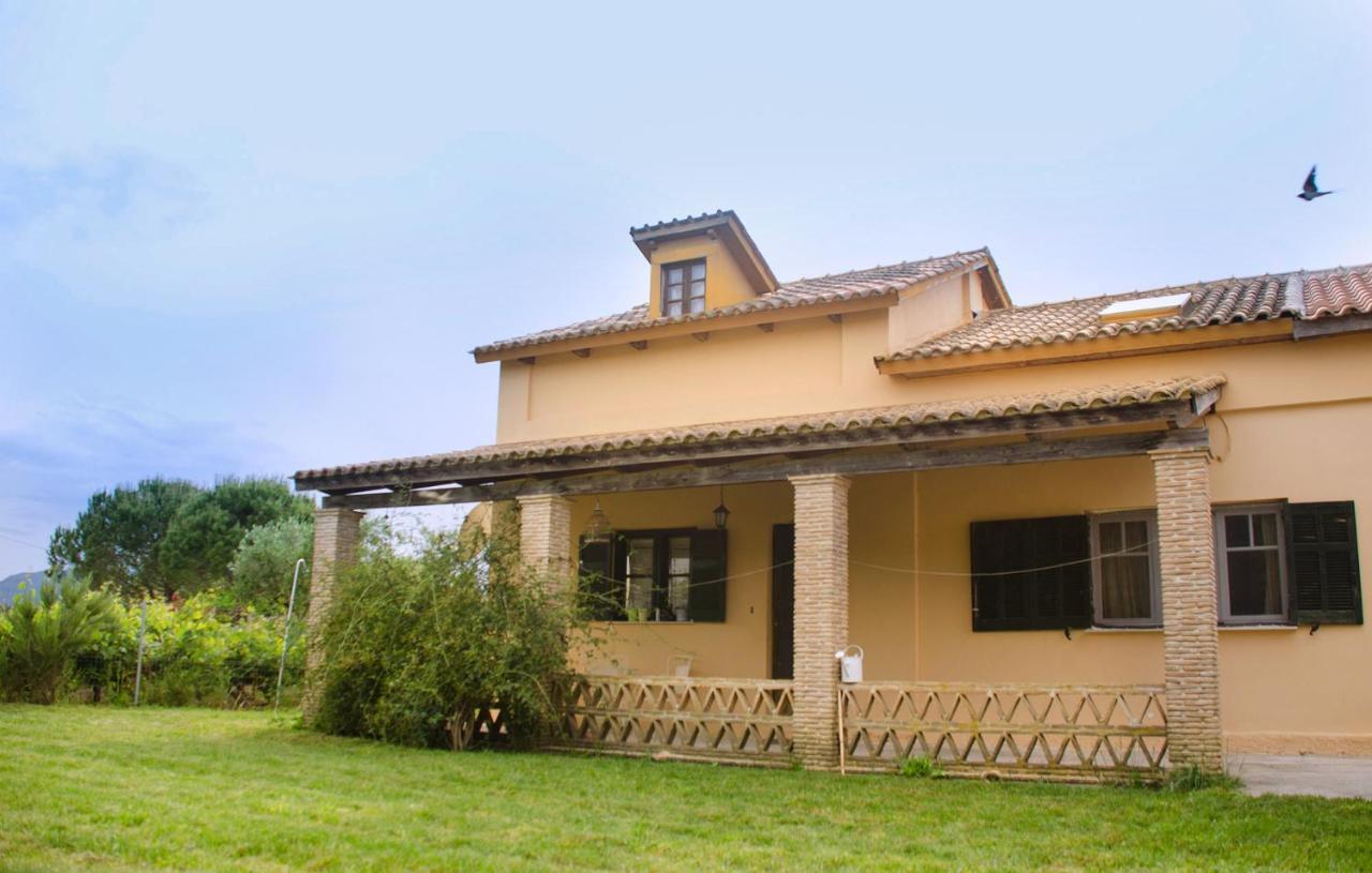 Jasmine House Guest House Tsilivi  Bagian luar foto