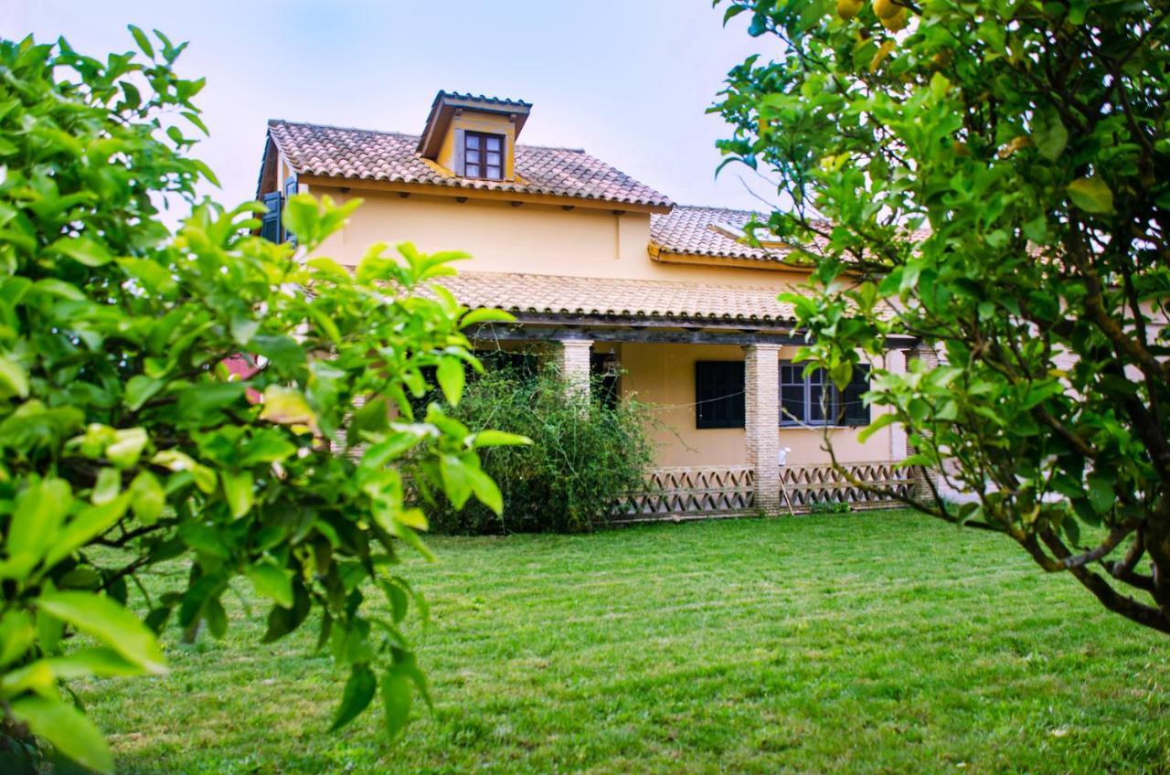 Jasmine House Guest House Tsilivi  Bagian luar foto